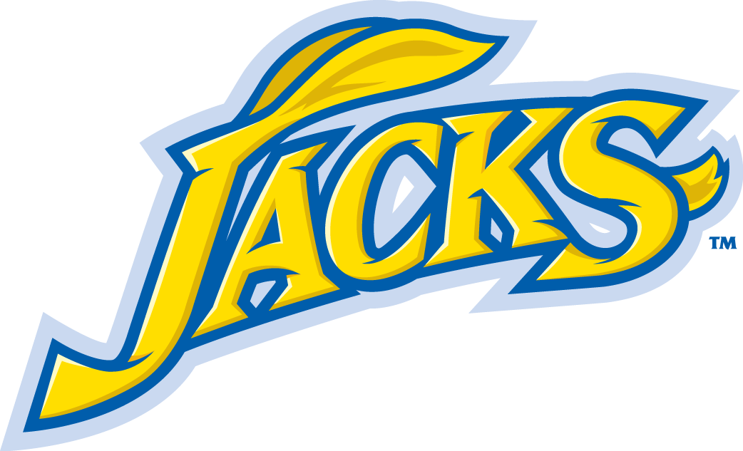 South Dakota State Jackrabbits 2008-Pres Wordmark Logo iron on transfers for clothing